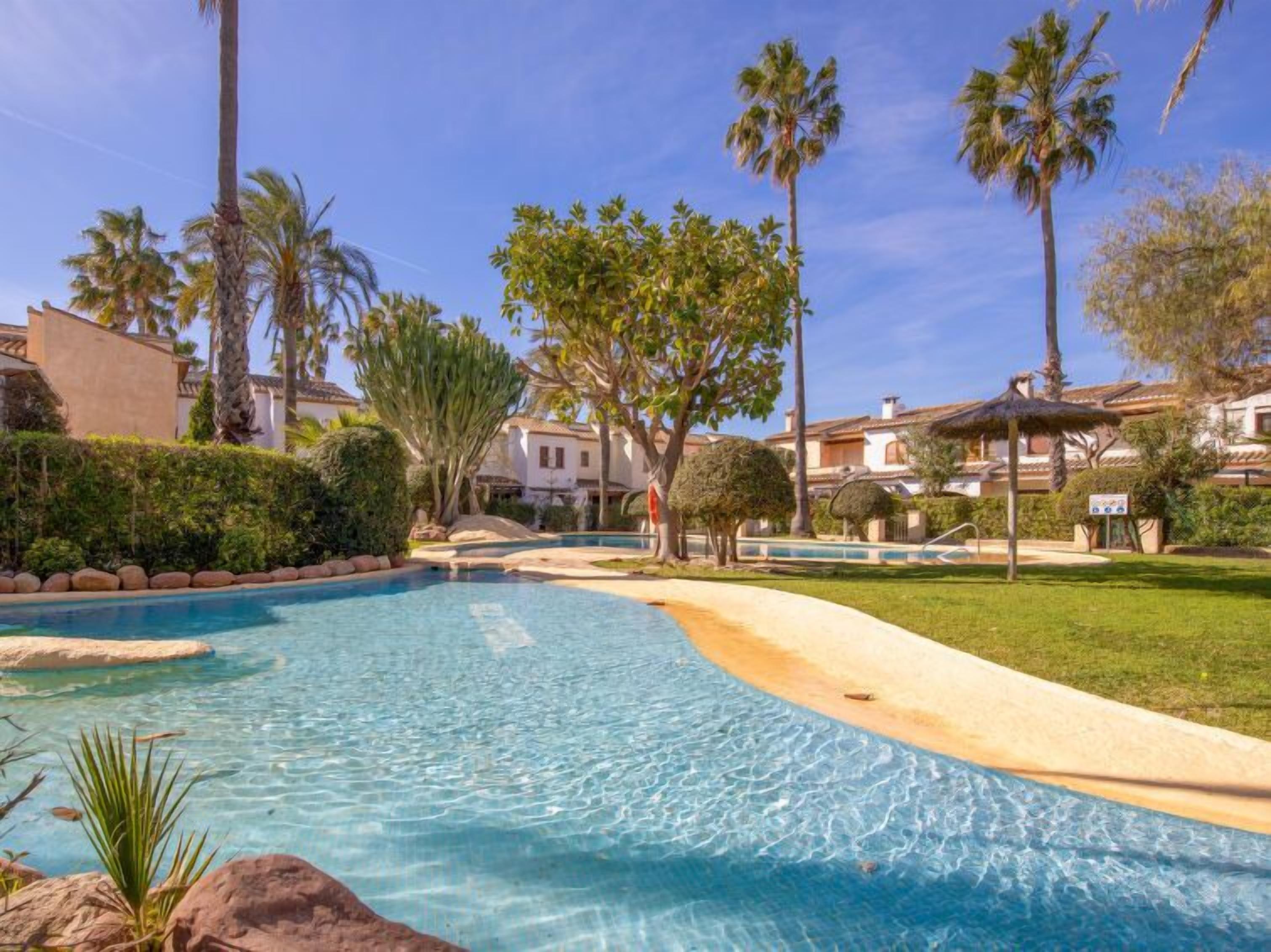 A swimming pool with clear blue water, surrounded by palm trees and a well-maintained lawn.