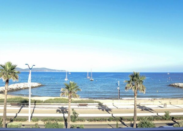 A coastal view with a road, palm trees, and sailboats on the water.