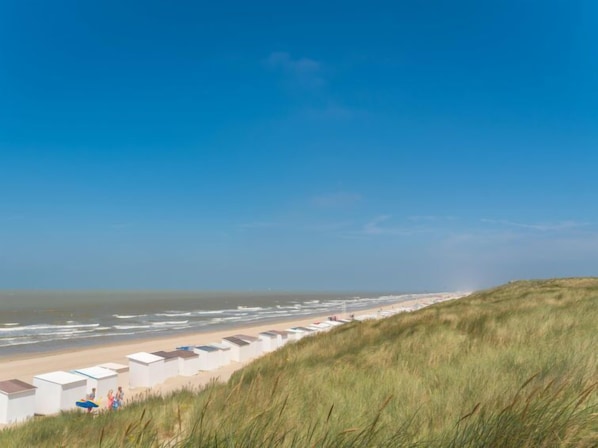 Guests can enjoy beachside accommodations in a structured and organized area.