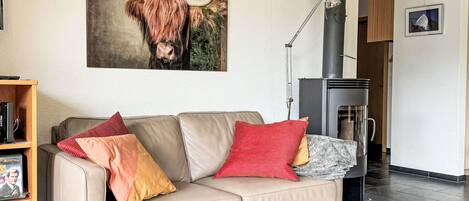 Tv, eldstad och dvd-spelare