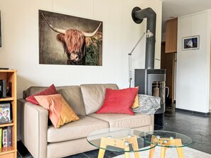Televisión, chimenea y reproductor de DVD 