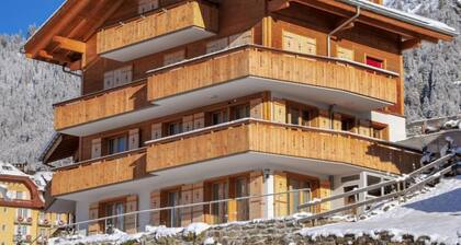 Silberhorn Apt. DW by Interhome