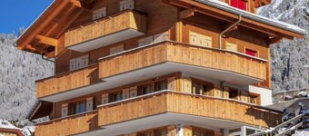 Silberhorn Apt. DW by Interhome