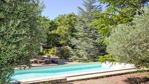 Ein Swimmingpool, umgeben von üppiger Bepflanzung, mit einer Terrassenfläche und einem kleinen Gebäude im Hintergrund.