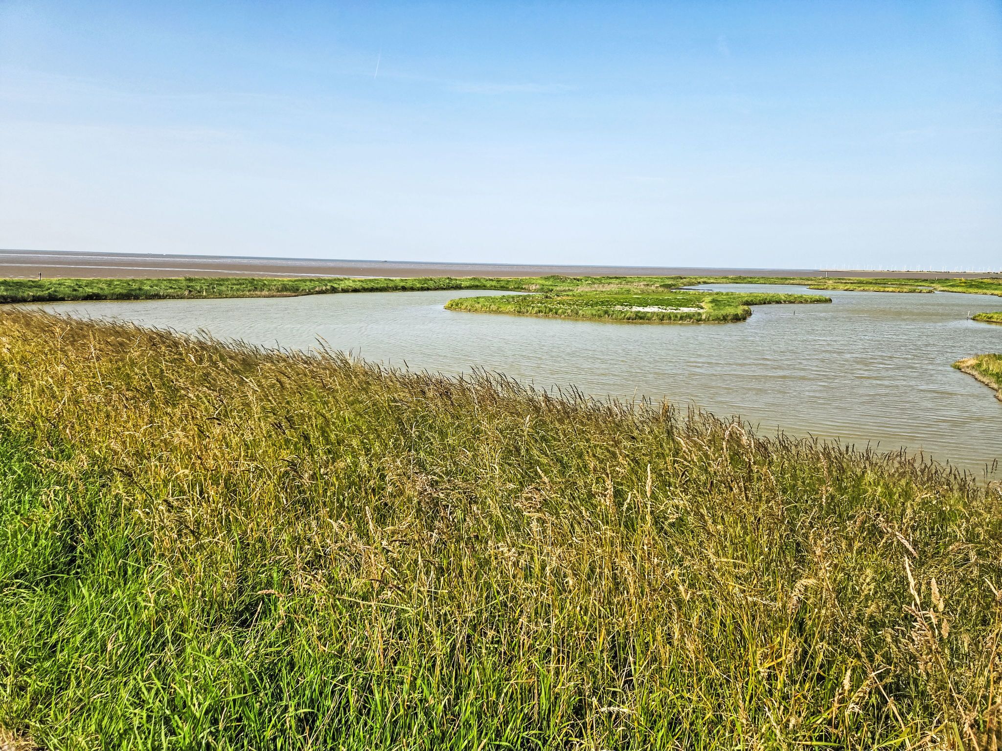 A river meandering through a marshy landscape with grassy banks.