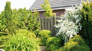 Een tuin met verschillende planten, een houten hek en een pad van stenen dat naar een huis met een pannendak leidt.