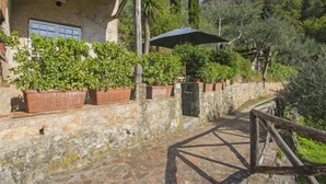 A stone pathway leading to a rustic building with a wooden roof, surrounded by lush greenery and a mountain backdrop. - Il Metatino by Interhome (Camaiore)