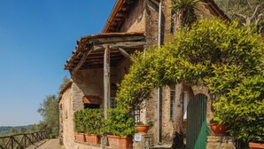 A stone building with a rustic facade, terracotta pots with greenery, and a paved pathway leading to a green gate. - Il Metatino by Interhome (Camaiore)