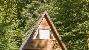 Een houten cabin in driehoekige vorm met een veranda, omgeven door weelderige begroeiing.