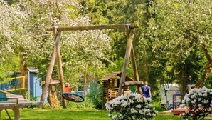 Een speeltuin met een schommel en een glijbaan, omringd door bomen en een picknicktafel.