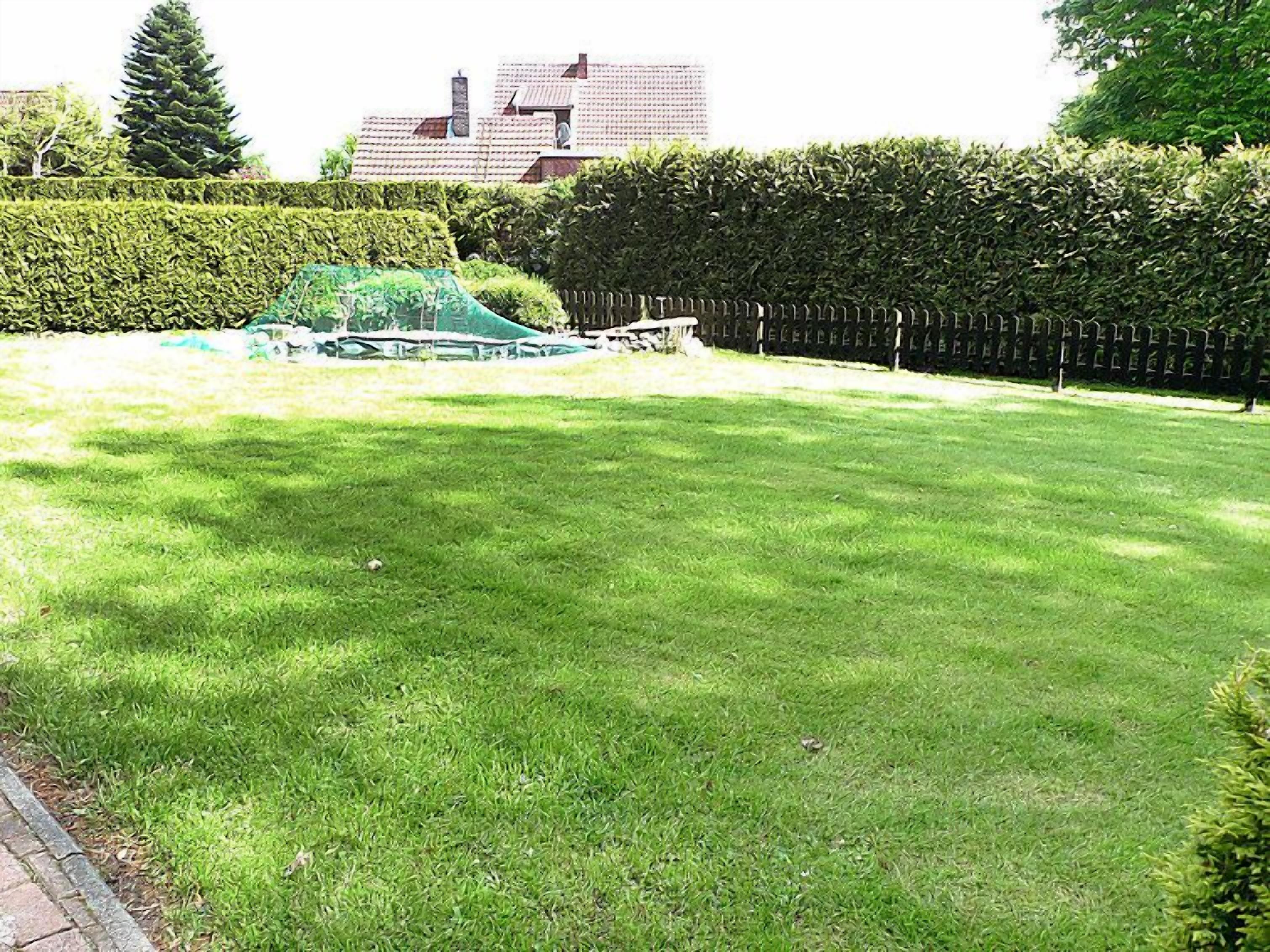 A well-maintained lawn with a hedge and a wooden fence.