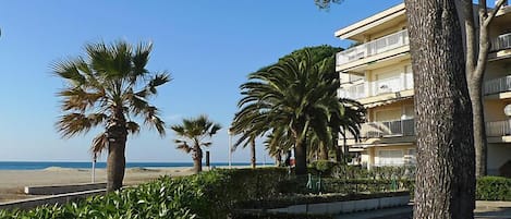 A beachfront hotel with palm trees, a clear sky, and a view of the sea.