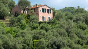 Una casa de dues plantes amb façana rosa i persianes verdes, envoltada de vegetació abundant i arbres.