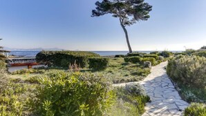 Un sendero de piedra que conduce a una zona costera con un gran árbol y abundante vegetación.