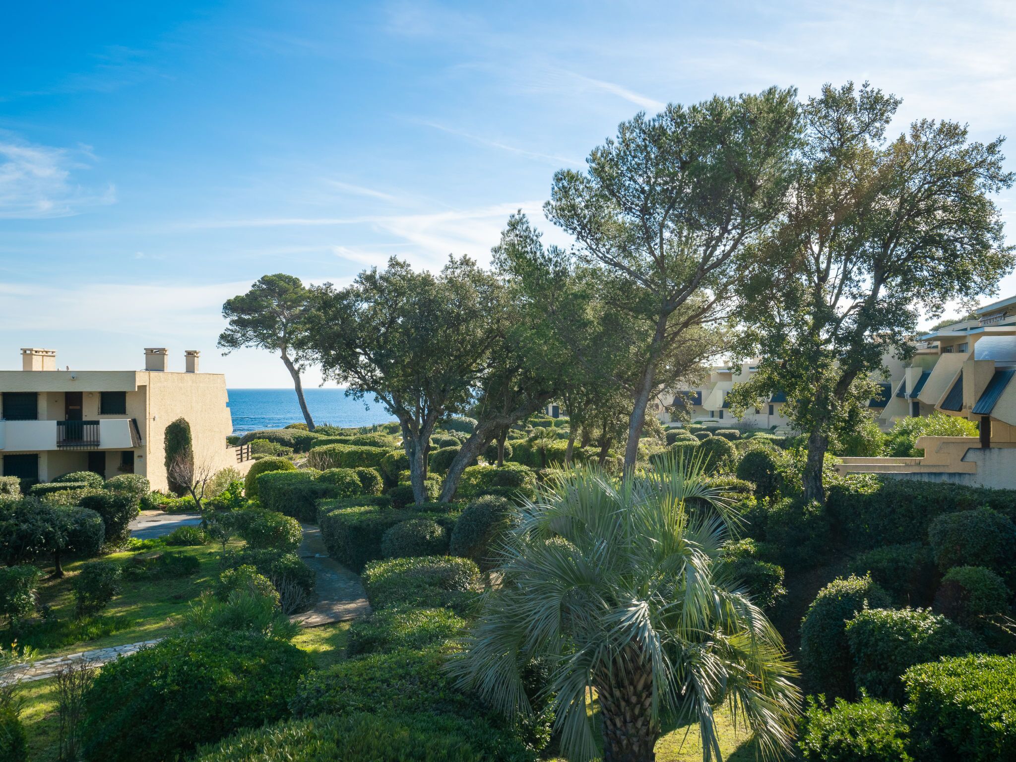 A lush garden with a palm tree, a pathway, and buildings with a view of the sea.