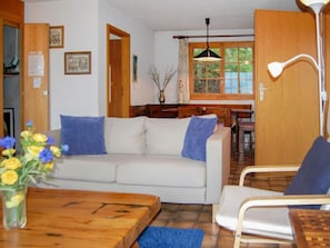 TV, fireplace, DVD player