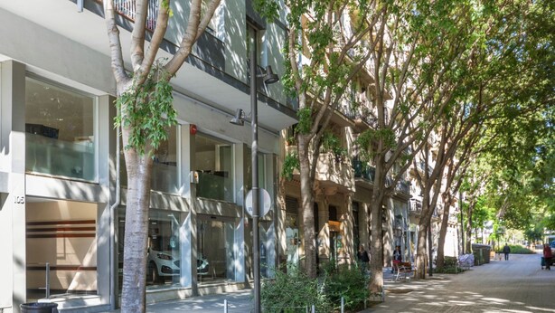 Une rue urbaine bordée d’arbres, avec des bâtiments modernes, un trottoir dégagé et une promenade piétonne.