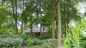 A house surrounded by dense greenery and tall trees. - Vacation home 4L by Interhome (Lochem)