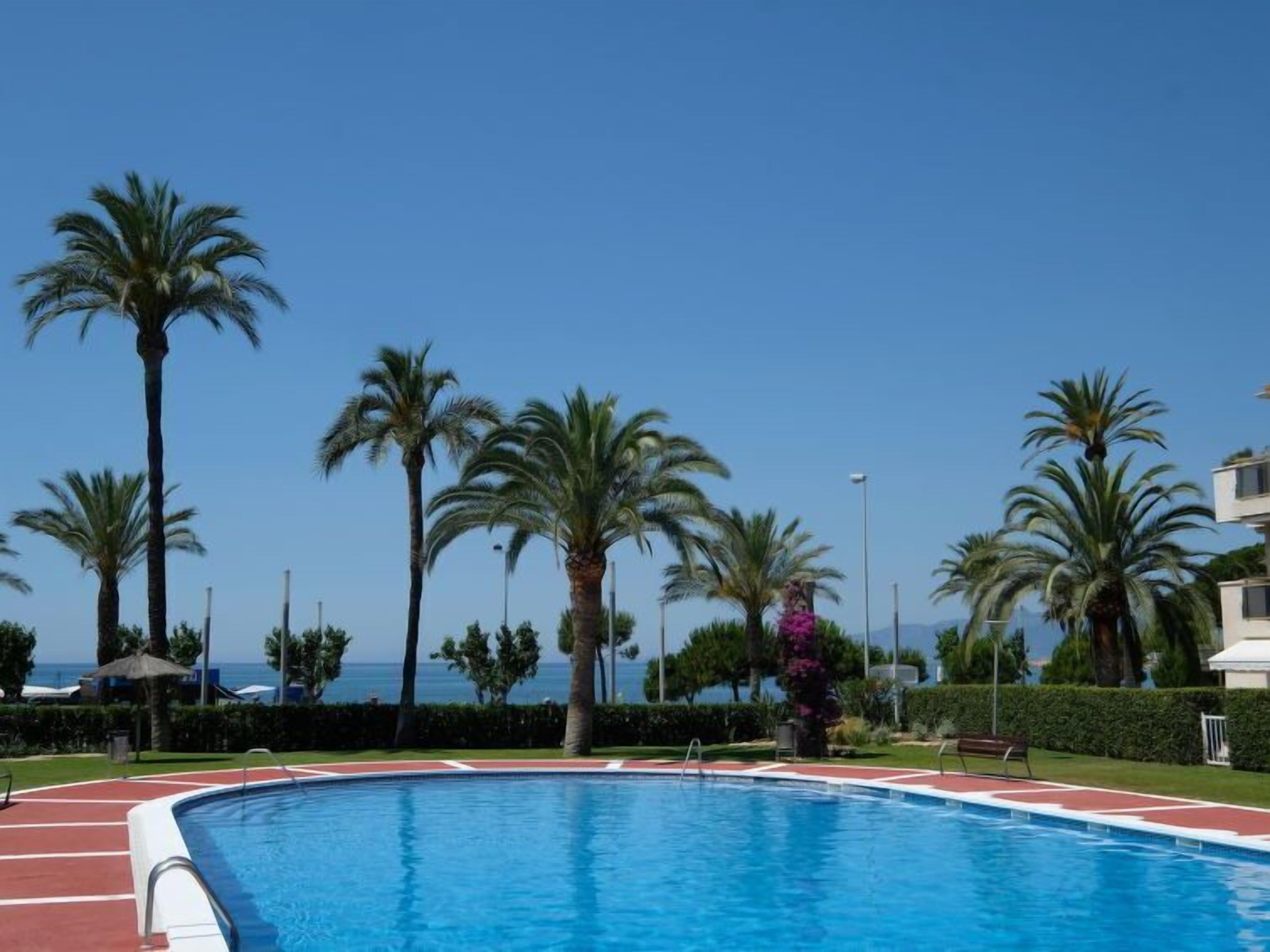 Una piscina con borde rojo, rodeada de palmeras y un cielo azul despejado.