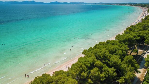 Ein Küstenstrand mit klarem türkisblauem Wasser, einem sandigen Ufer und üppigen, grünen Bäumen.