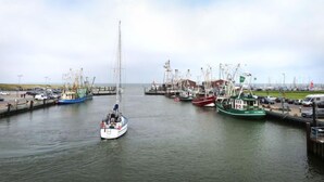Een jachthaven met verschillende boten afgemeerd, een zeilboot in het midden en kranen op de achtergrond.