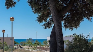 A tree-lined pathway with a view of the sea and buildings in the background.