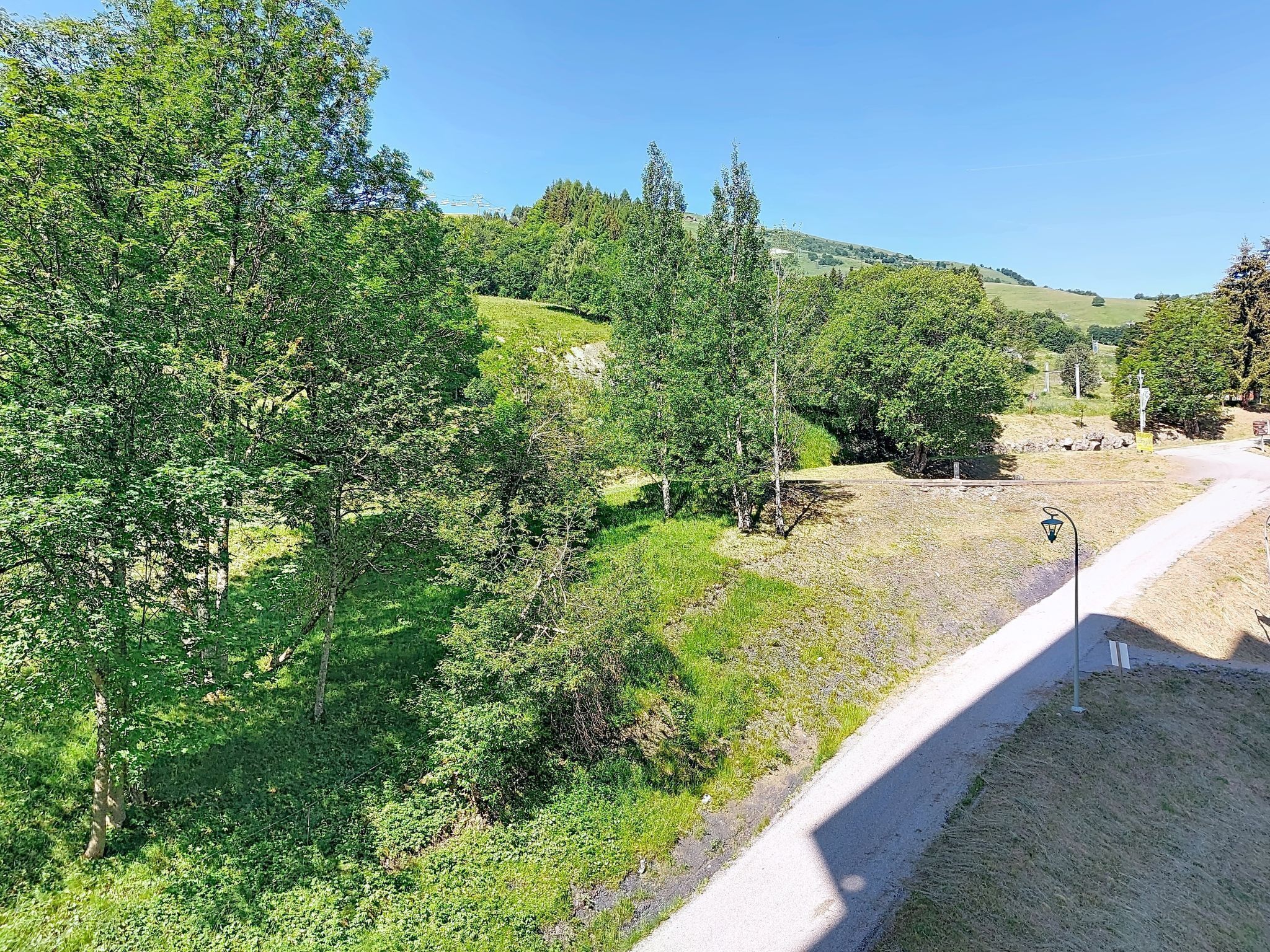 A rural landscape with a dirt path, trees, and a clear sky.
