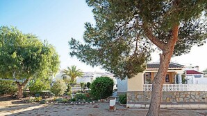 A courtyard with a large tree, a stone wall, and a building with a tiled roof.