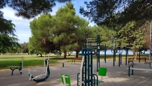 Ein Park mit Trainingsgeräten, Bänken und Bäumen.