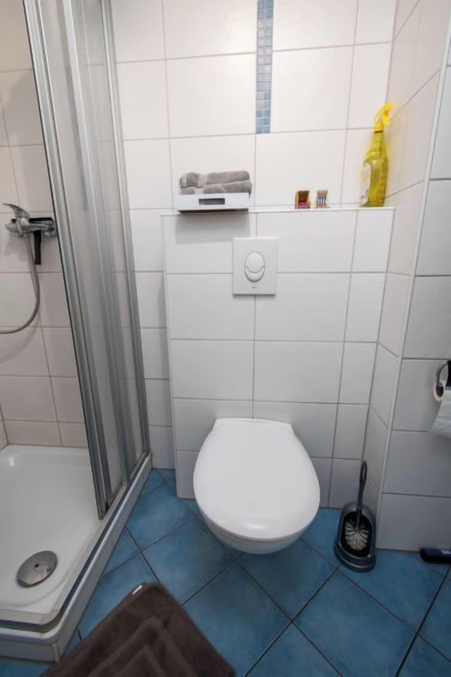 A bathroom with a shower, toilet, and a small shelf with toiletries.