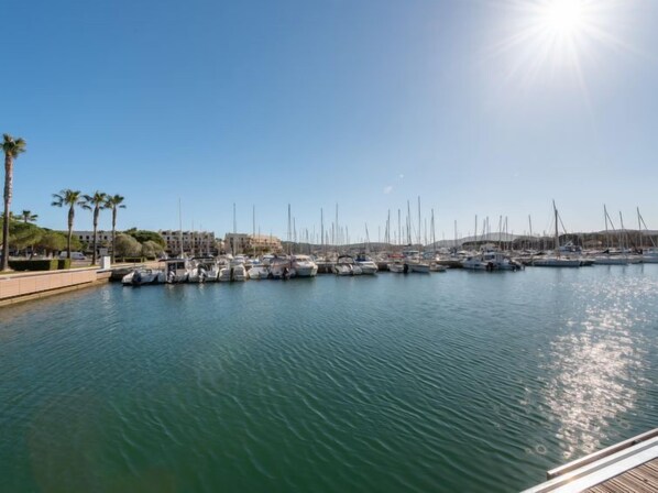 Un puerto deportivo con numerosas embarcaciones amarradas, rodeado de edificios y palmeras.