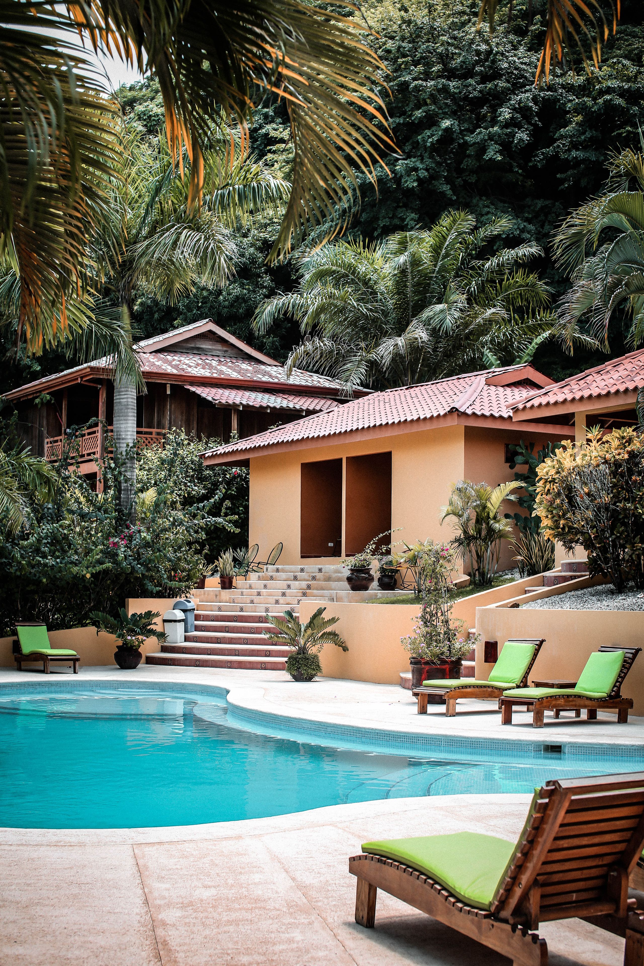 outdoor pool, pool loungers