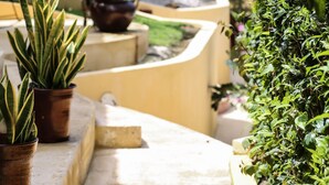 Composizione di piante in vaso su un balcone con vista su un giardino e un edificio sullo sfondo.