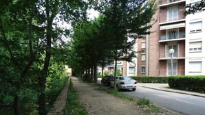 Une rue résidentielle avec un chemin de terre, des arbres et une voiture garée.