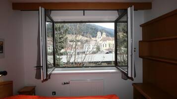 1 Schlafzimmer, kostenloses Internet