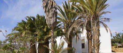 Overnattingsstedets uteområder