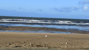 A beach with waves and a clear sky. - Le Garden Fleuri by Interhome (Blonville sur mer)