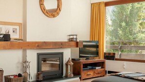 A modern living room with a fireplace, television, and large windows with a view of trees. - Olympic R4 by Interhome (Nendaz)