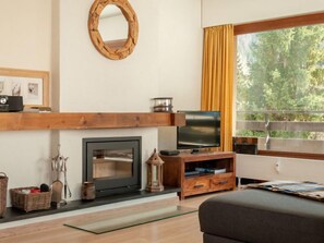 Télévision, cheminée, lecteur de DVD