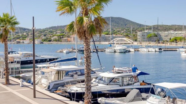 Marina con barcos amarrados, palmeras y un puente al fondo.