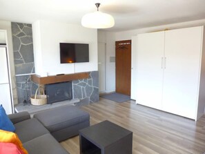 Un salon moderne avec une cheminée en pierre, un téléviseur à écran plat, une grande armoire et un canapé gris.