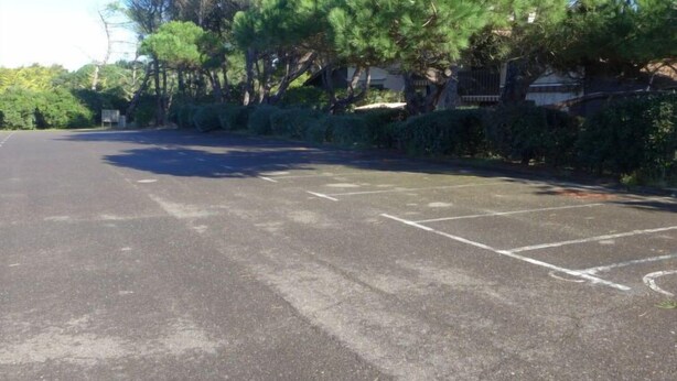Un parking avec des places délimitées et bordé d’arbres.