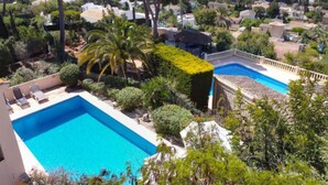 Ein Pool, umgeben von üppigem Grün mit Blick aufs Meer.