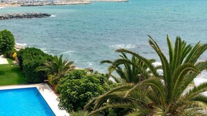 A coastal view with a swimming pool, palm trees, and a rocky breakwater.