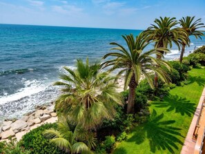 A coastal view with palm trees and a clear sky.