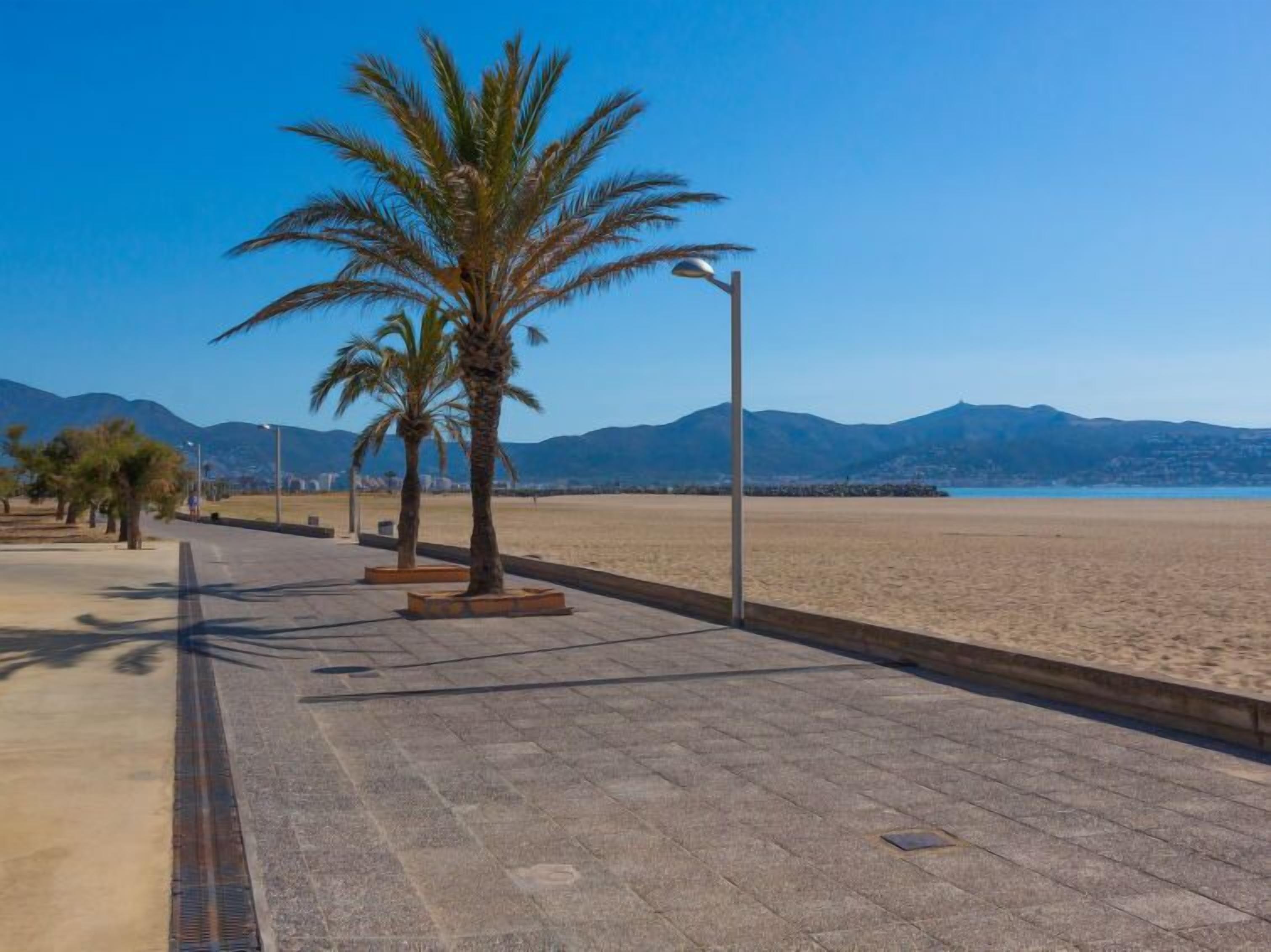 A paved walkway with palm trees and a street lamp, leading to a beach with mountains in the background.