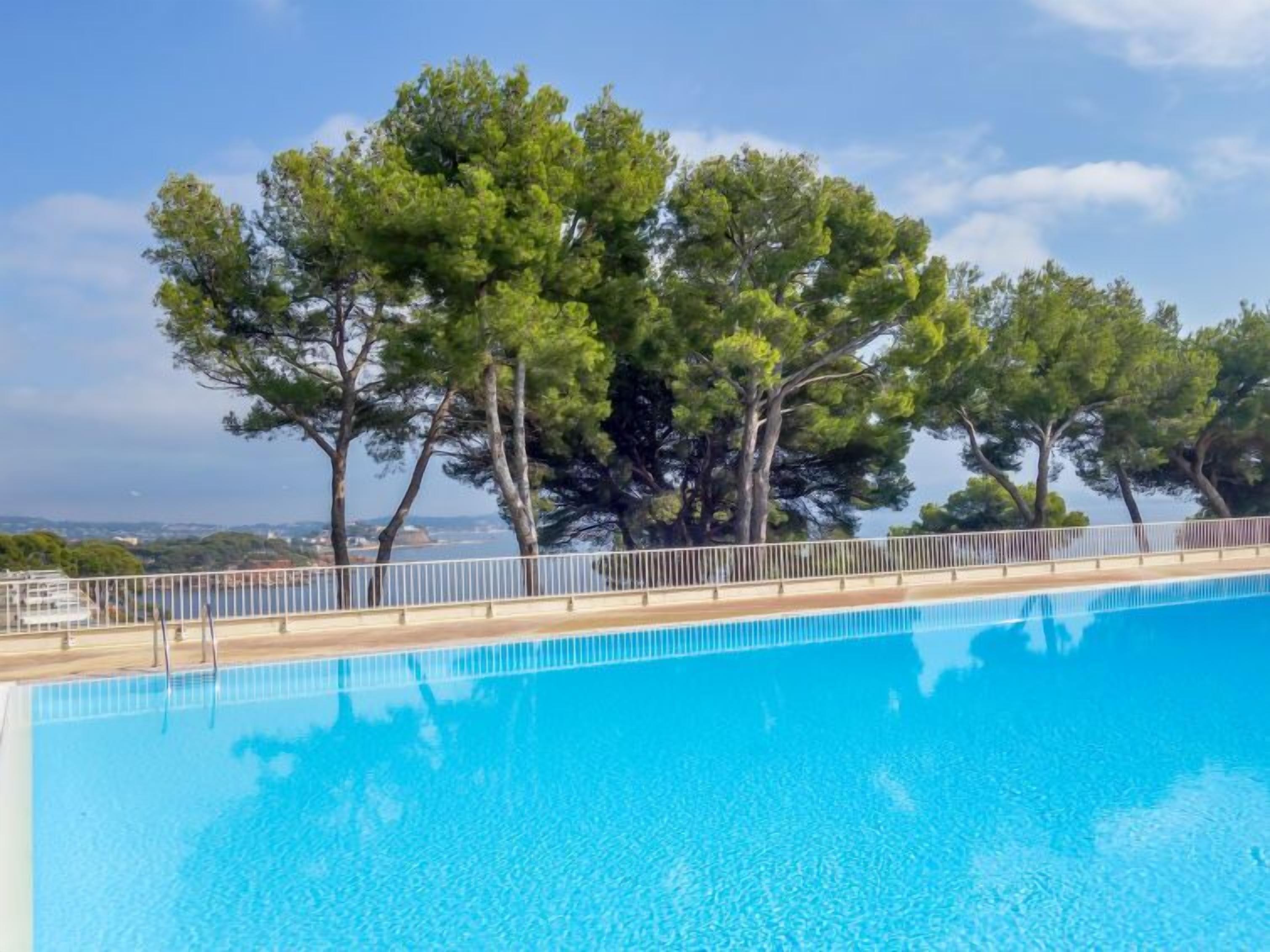 A clear blue swimming pool with a wooden deck and metal railing, surrounded by tall trees and a view of the sea.