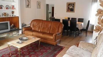 Télévision, cheminée, lecteur de DVD