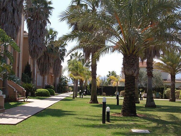 A pathway lined with palm trees and a building with a tiled roof.