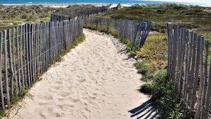 A sandy pathway bordered by wooden fences leading to a beach. - Apartment Casino by Interhome (Canet-Plage)